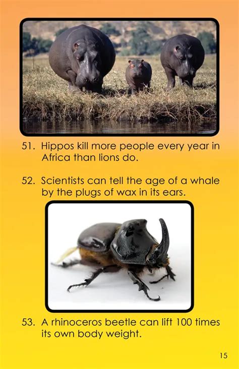 Amazing Animal Facts Vol 3