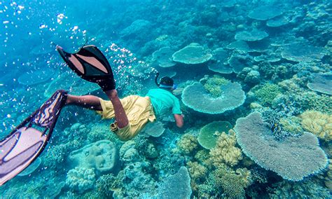 See Why Indonesia Is Called The Superbowl Of Snorkeling