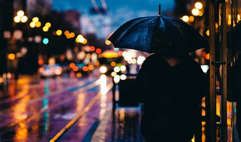 City Person Walking On Street While Holding Black Umbrella Near Cars On