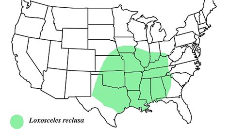 Brown Recluse Spider Habitat Map