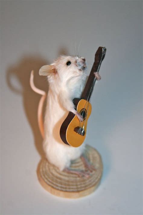 Taxidermy Mouse Playing Guitar Studio Sisu Original Etsy Music