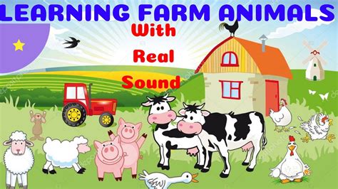 Çocuklar İçin İngilizce Hayvanlar 1 Learning Farm Animals For Kids