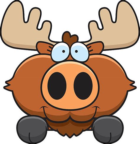20 Moose Hide Stock Illustrations Royalty Free Vector Graphics And Clip