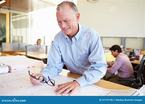Male Architect Studying Plans In Office Stock Photo Image Of Plans