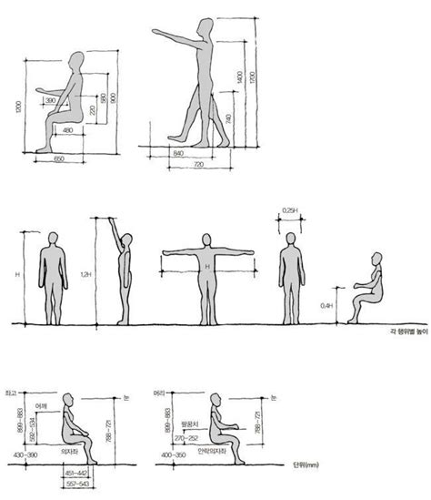 The Diagram Shows How To Sit And Stand