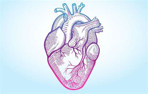 Have You Ever Experienced These 5 Subtle Symptoms Of Heart