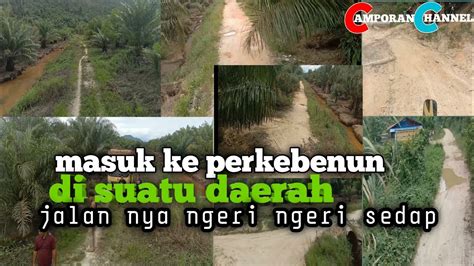 Menelusuri Jalan Perkebunan Suatu Desa Youtube