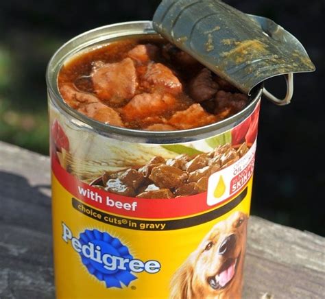 Healthy Nutrition In A Can Everything About Canned Dog Food