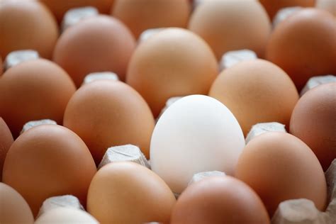 The Difference Between White And Brown Eggs