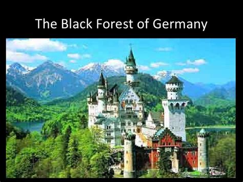 The Black Forest Of Germany
