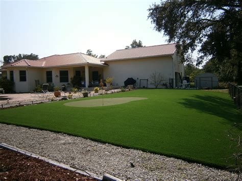 Residential Putting Green Traditional Landscape Tampa By