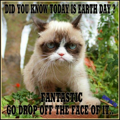 Another Grumpy Cat Meme By The Other Grumpy Kat 2016 Earth Day Grumpy