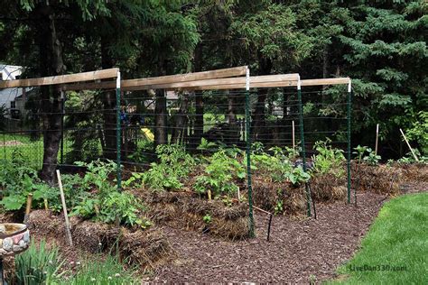 These trellis ideas, including simple structures and elaborate designs, will help shape your patio or. 17 Ways to Build a Gorgeous Garden Trellis This Summer ...