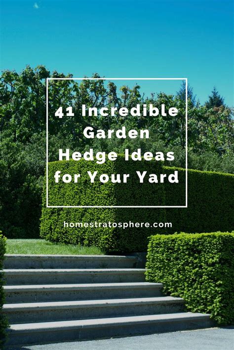 41 Incredible Garden Hedge Ideas For Your Yard Photos Garden Hedges