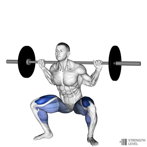 Sumo Squat Standards For Men And Women Lb Strength Level