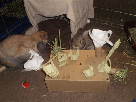 diy rabbit toys out of cardboard real diy life
