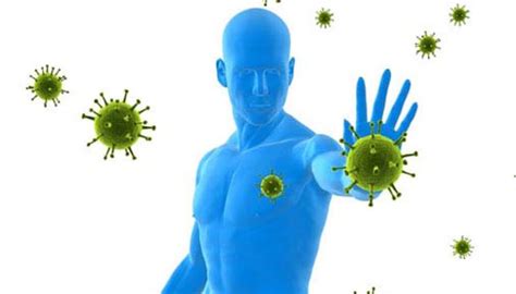 Cinco Hábitos Que Fortalecen El Sistema Inmunológico El Espectador De