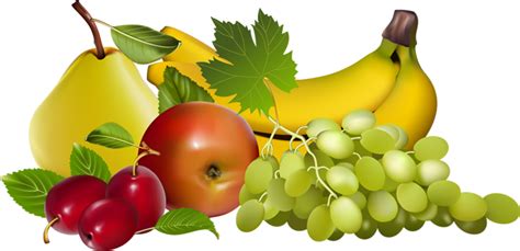 Fruits Clipart Png 5 Clipart Station