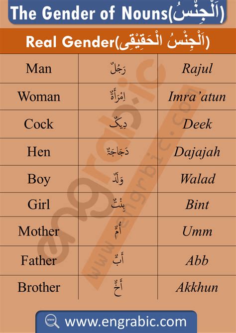 the gender of nouns in arabic and english arabic words are either masculine or feminine in