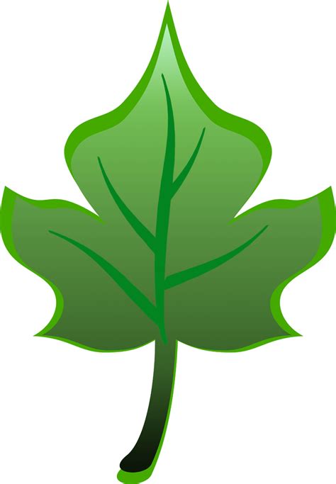 Clip Art Green Leaf