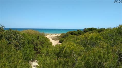 🌊 Playa Del Carabassí á Elche Alicante 🌊 7 Mares
