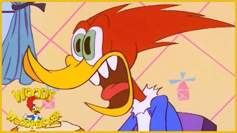 Woody Woodpecker Show Woodys Roomate 1 Hour Compilation Videos