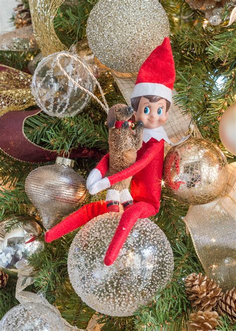 Crazy Elf On The Shelf Ideas That You Can Easily Recreate
