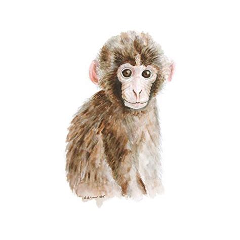 The Best Free Monkey Watercolor Images Download From 46 Free