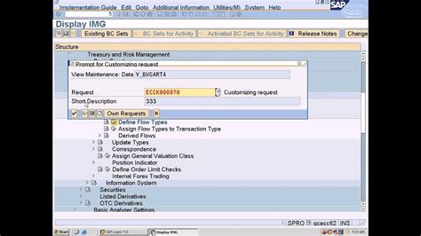 Sap Treasury And Risk Management Configuration Define Flow Types Youtube
