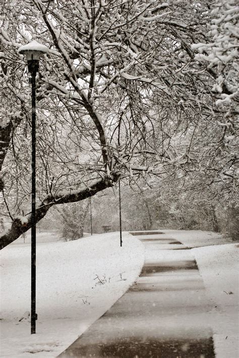 Snowy Path By Sublimebudd On Deviantart