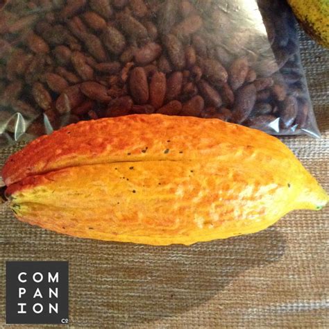 Promotions, discounts, and offers available in stores may not be available for online orders. Companion Whole Foods #Cacao from the Mountains of # ...