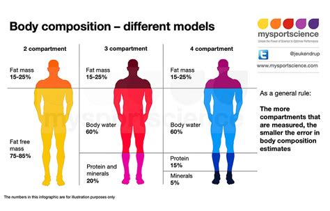 How To Measure Changes In Body Composition A Guide