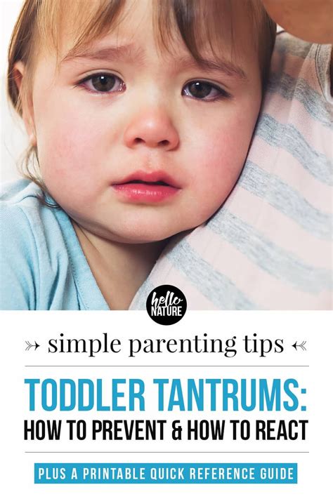 Toddler Tantrums How To Prevent How To React And When To Worry