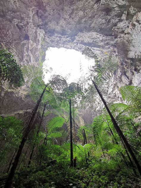 Scientists Discover Giant Karst Sinkhole Cluster In China Xinhua Englishnewscn
