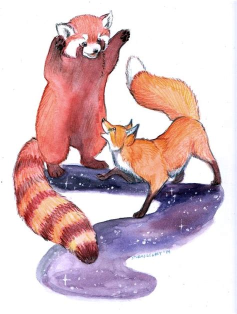 Red Panda And Fox Playing By Stormslegacy On Deviantart Panda Art