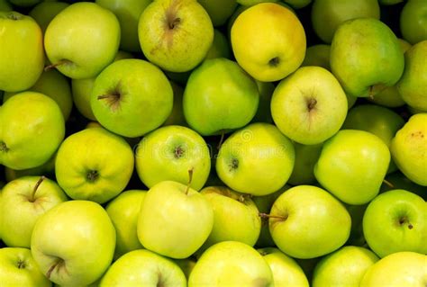 Row Of Green Apples Stock Image Image Of Botanic Apple 46440301