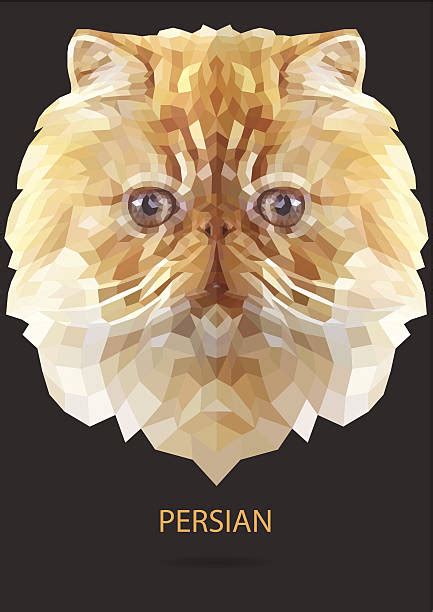 best persian cat illustrations royalty free vector graphics and clip art istock