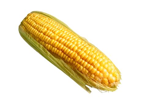Corn Png Pic Png All Png All
