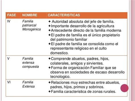 Origen Y Evolucion Historica De La Familia