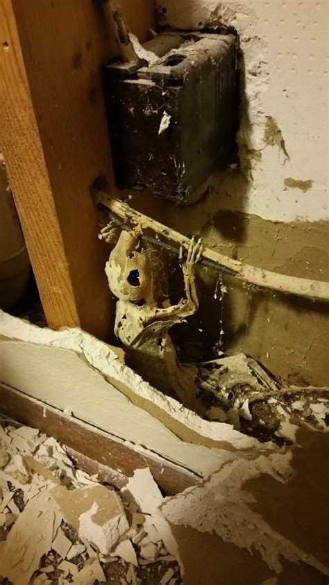 Shocking Items Left Behind by Previous Tenants – Page 19 – Home Addict