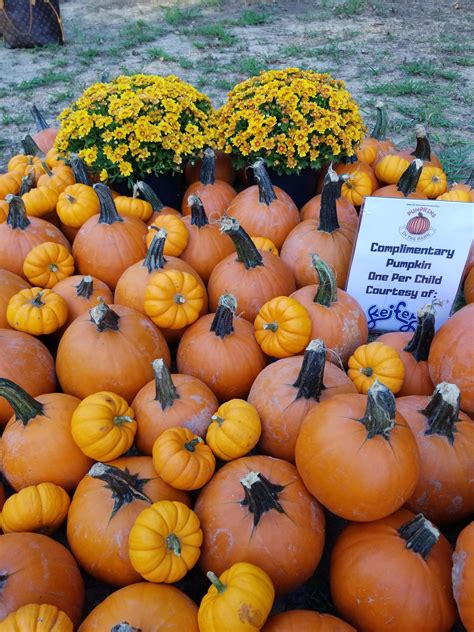 Thank You For Joining Us For Pumpkins In The Park • Greater Belhaven Foundation