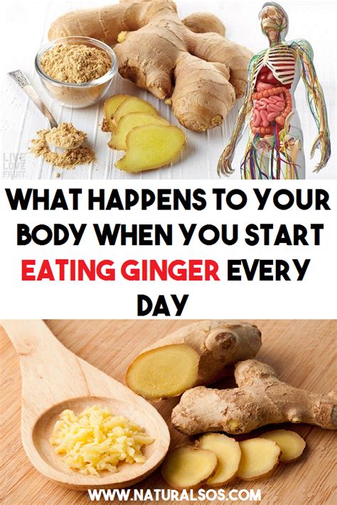 What Happens To Your Body When You Start Eating Ginger Every Day How To Eat Ginger Eat What