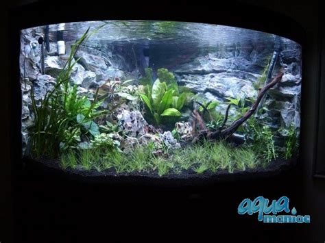 Aquarium Background For Juwel Aquarium Trigon 190 3d