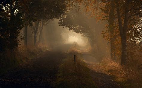 Nature Landscapes Roads Trail Path Trees Forest Autumn Fall Fog