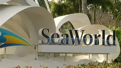 Seaworld Stock Investigation Underway Youtube