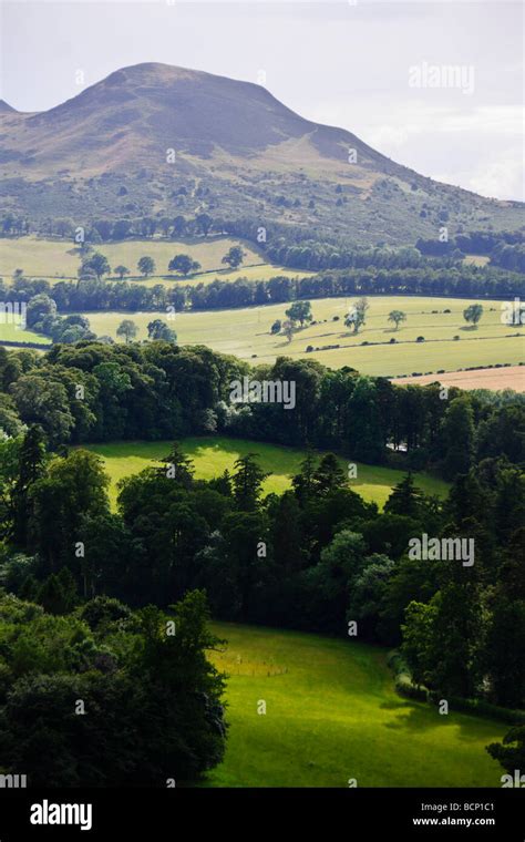 Scotts View Of The Eildon Hills Vertical Landscape Stock Photo Alamy
