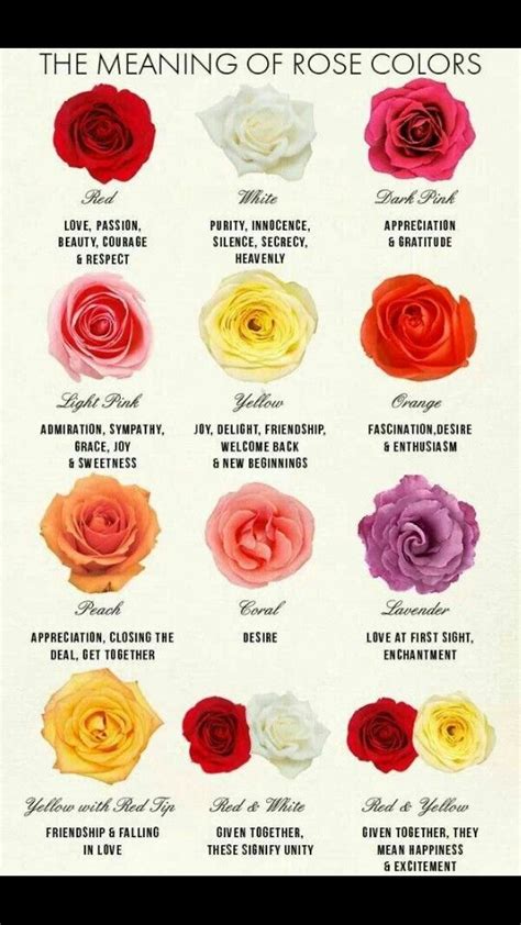 Flower Color Meanings Chart
