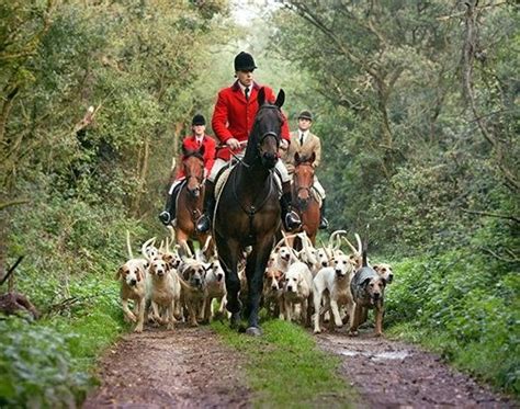 Every fox hunting equestrian i have spoken to recently asks, have you spoken to marion? she's the person who knows everything about fox hunting foxhunting for the first time | oughton limited. 312 best English Fox Hunting images on Pinterest ...