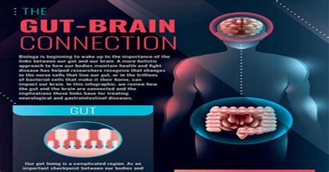 the gut brain connection infographic infographics