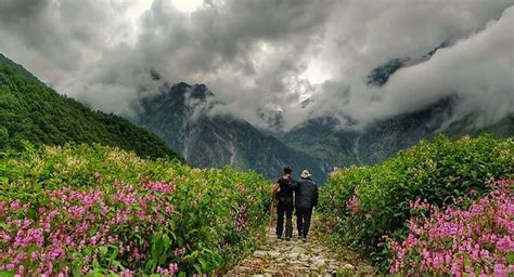 An Approach To Valley Of Flowers Uttarakhand In 2021 Bodhi Bihar Tourism